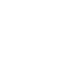 The Best Chemicals logo